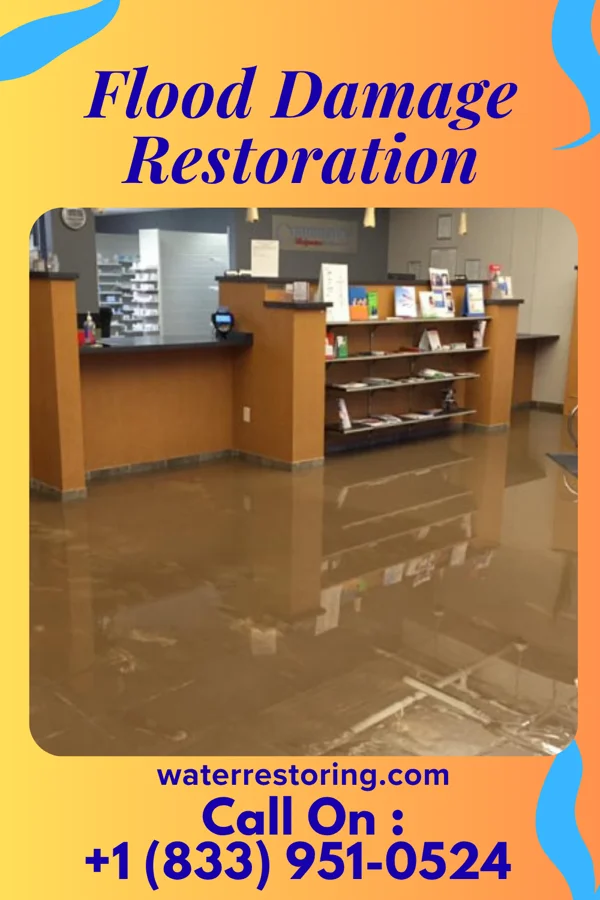 Flood Damage Restoration in Devine, TX