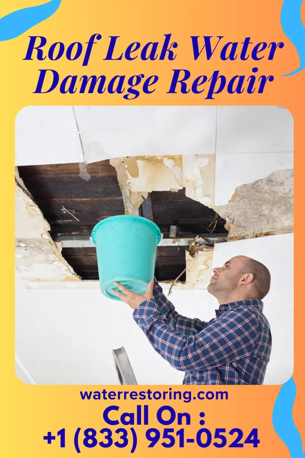 Roof Leak Water Damage Repair in Devine, TX